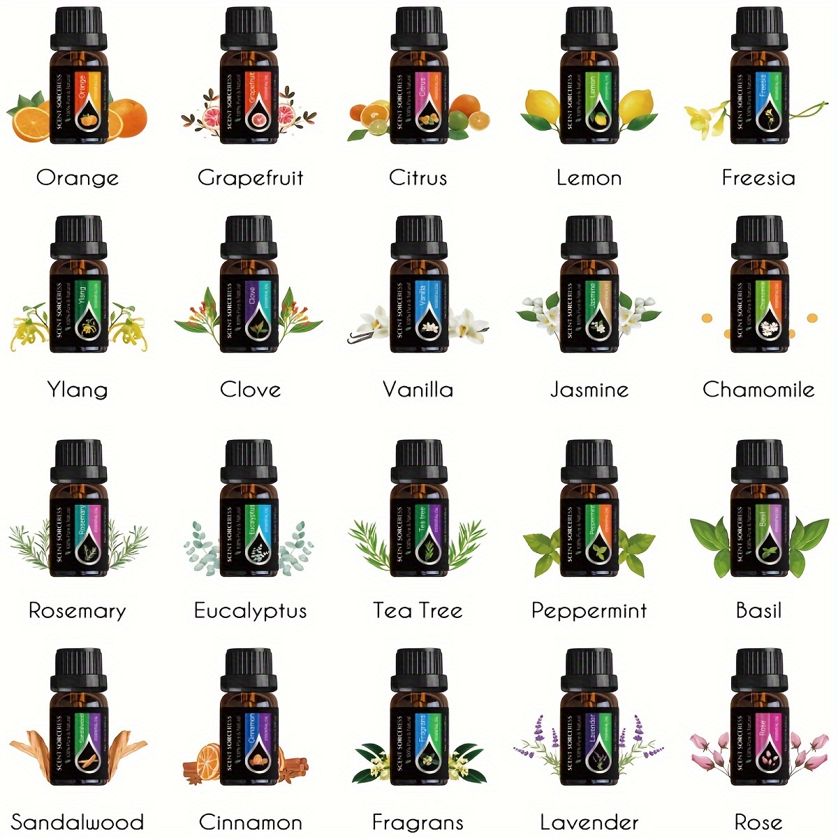 20pcs/set Essential Oil Set La - Spa Wellness Massage ulasan dan harga